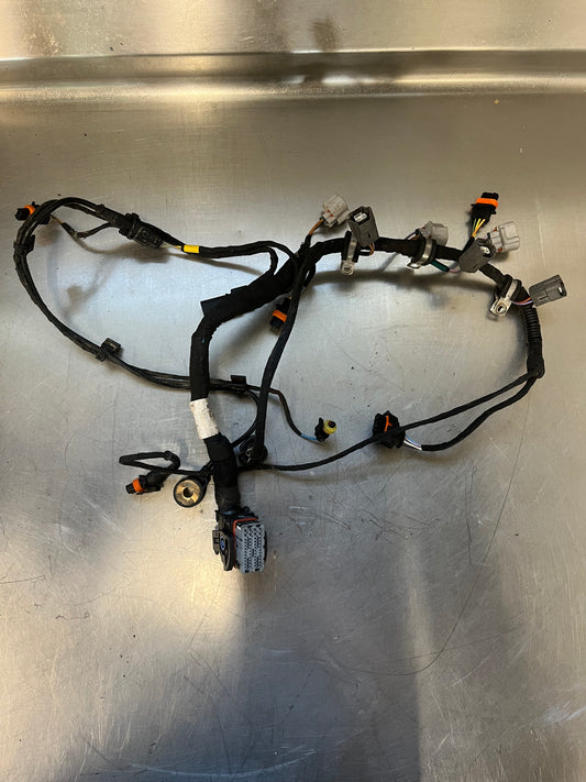 2014-2019 Seadoo Engine Wire Harness : 420666257